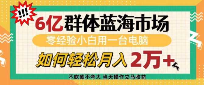 6亿群体蓝海市场，零经验小白用一台电脑，如何轻松月入过w【揭秘】-AI学习资源网