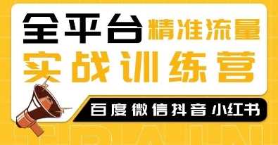 全平台精准流量实战训练营，百度微信抖音小红书SEO引流教程-AI学习资源网