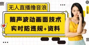 无人直播撸音浪+随声波动画面技术+实时防违规+资料【揭秘】-AI学习资源网