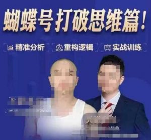 天诺老吴蝴蝶号50节线上课,蝴蝶号打破思维篇-AI学习资源网