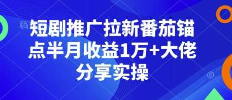 短剧推广拉新番茄锚点半月收益1万+大佬分享实操-AI学习资源网