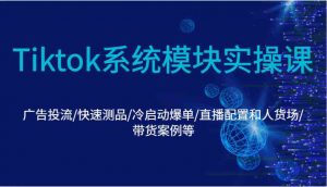 Tiktok系统模块实操课:广告投流/快速测品/冷启动爆单/直播配置和人货场/带货案例等-AI学习资源网