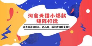 (13882期)淘宝天猫小爆款矩阵打造:涵盖蓝海词布局、选品等,助力店铺销量飙升-AI学习资源网
