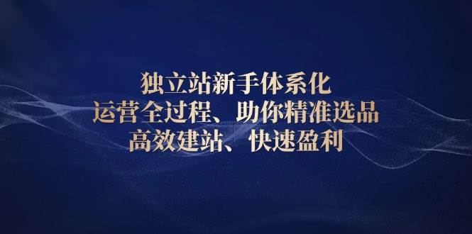 （13914期）独立站新手体系化 运营全过程，助你精准选品、高效建站、快速盈利-AI学习资源网