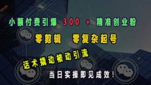 小额付费引爆 300 + 精准创业粉,零剪辑、零复杂起号,话术撬动被动引流,当日实操即见成效-AI学习资源网