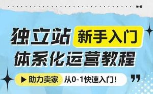 独立站新手入门体系化运营教程,助力独立站卖家从0-1快速入门!-AI学习资源网
