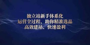 独立站新手体系化 运营全过程,助你精准选品、高效建站、快速盈利-AI学习资源网