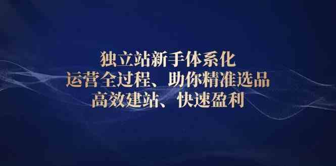 独立站新手体系化 运营全过程，助你精准选品、高效建站、快速盈利-AI学习资源网