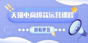 (13910期)天猫电商爆款运营课程,爆款卖点提炼与流量实操,多套模型全面学习-AI学习资源网