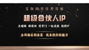 互联网项目天花板,超级合伙人IP,全网都在割韭菜,我来教你做镰刀【仅揭秘】-AI学习资源网