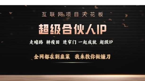 互联网项目天花板，超级合伙人IP，全网都在割韭菜，我来教你做镰刀【仅揭秘】-AI学习资源网