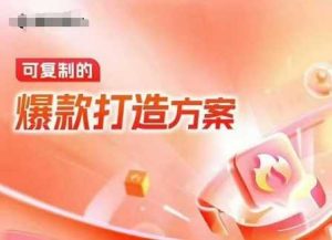 天猫电商爆款运营,可复制的爆款打造方案(线下内训课录音+字幕)-AI学习资源网