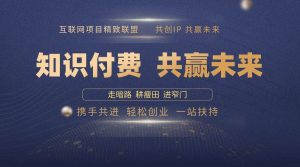 (13944期)2025年 如何通过 “知识付费” 卖项目月入十万、年入百万,布局2025与…-AI学习资源网