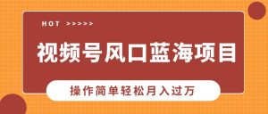 (13945期)视频号风口蓝海项目,中老年人的流量密码,操作简单轻松月入过万-AI学习资源网