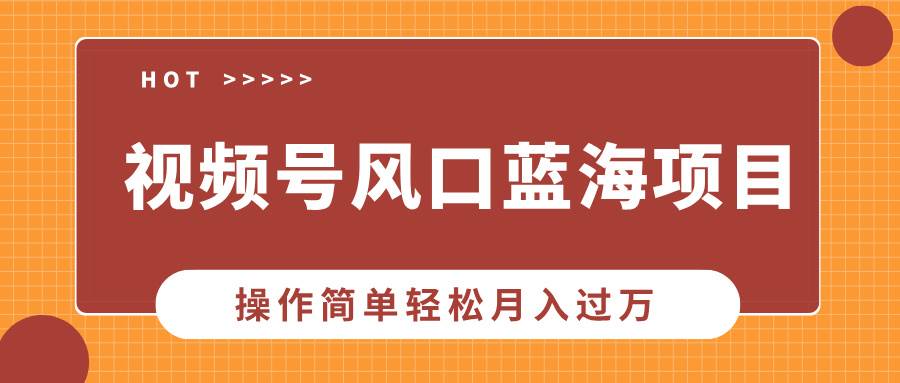 （13945期）视频号风口蓝海项目，中老年人的流量密码，操作简单轻松月入过万-AI学习资源网