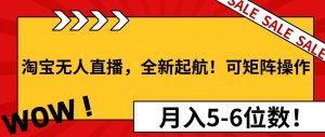 (13946期)淘宝无人直播,全新起航!可矩阵操作,月入5-6位数!-AI学习资源网