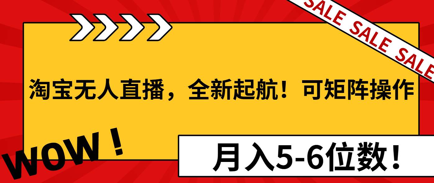 （13946期）淘宝无人直播，全新起航！可矩阵操作，月入5-6位数！-AI学习资源网