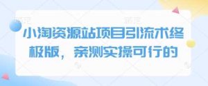 小淘资源站项目引流术终极版,亲测实操可行的-AI学习资源网