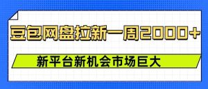 豆包网盘拉新,一周2k,新平台新机会-AI学习资源网