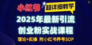 2025年最新小红书引流创业粉实战课程【超详细教学】小白轻松上手,月入1W+,附小红书养号SOP-AI学习资源网