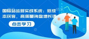 国际站运营实战系统:低成本获客,高质量询盘增长课-AI学习资源网
