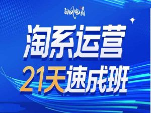 淘系运营21天速成班35期,年前最后一波和2025方向-AI学习资源网