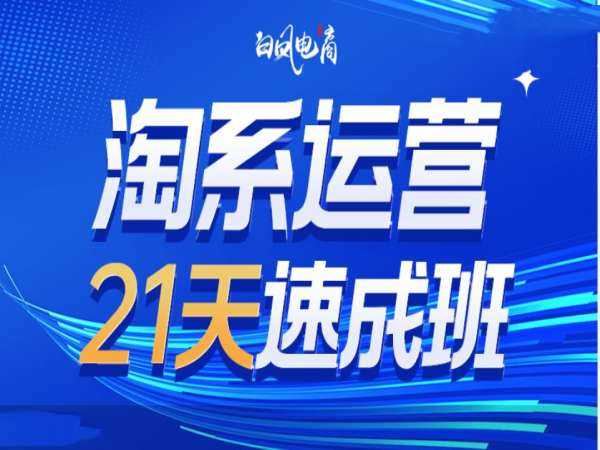 淘系运营21天速成班35期，年前最后一波和2025方向-AI学习资源网