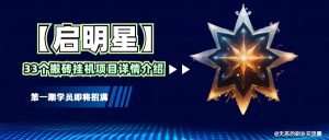 【启明星】33个挂机搬砖项目详细介绍,新手网创看这个就够了。-AI学习资源网