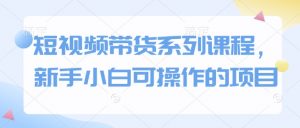 短视频带货系列课程,新手小白可操作的项目-AI学习资源网
