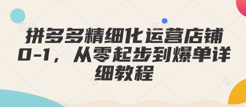 拼多多精细化运营店铺0-1，从零起步到爆单详细教程-AI学习资源网