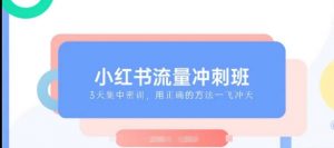 小红书流量冲刺班2025,最懂小红书的女人,快速教你2025年入局小红书-AI学习资源网