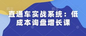 直通车实战系统:低成本询盘增长课,让个人通过技能实现升职加薪,让企业低成本获客,订单源源不断-AI学习资源网