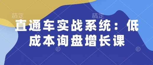 直通车实战系统：低成本询盘增长课，让个人通过技能实现升职加薪，让企业低成本获客，订单源源不断-AI学习资源网