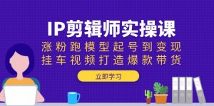 IP剪辑师实操课:涨粉跑模型起号到变现,挂车视频打造爆款带货-AI学习资源网