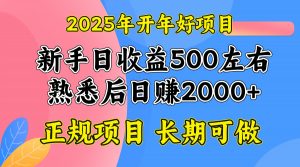 2025开年好项目,单号日收益2000左右-AI学习资源网