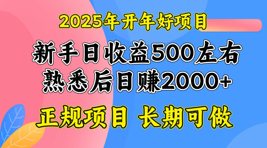 2025开年好项目，单号日收益2000左右-AI学习资源网