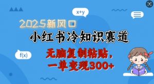 2025新风口,小红书冷知识赛道,无脑复制粘贴,一单变现300+-AI学习资源网