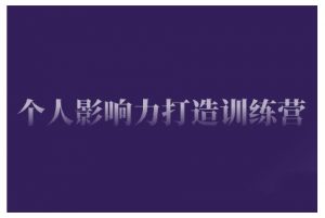 个人影响力打造训练营,掌握公域引流、私域运营、产品定位等核心技能,实现从0到1的个人IP蜕变-AI学习资源网