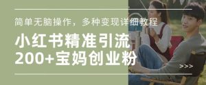 小红书混剪日引200+宝妈创业粉,简单无脑操作,多种变现详细教程-AI学习资源网