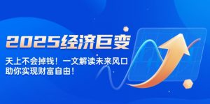2025经济巨变,天上不会掉钱!一文解读未来风口,助你实现财富自由!-AI学习资源网