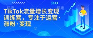 TikTok流量增长变现训练营,专注于运营·涨粉·变现-AI学习资源网