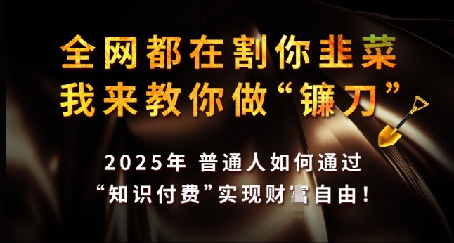 全网都在割你韭菜，我来教你做镰刀，2025年普通人如何通过 知识付费 实现财F自由【揭秘】-AI学习资源网