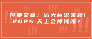 付费文章:滔天巨浪来袭!2025天上会掉钱吗?-AI学习资源网
