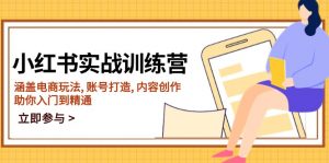 小红书实战训练营,涵盖电商玩法, 账号打造, 内容创作, 助你入门到精通-AI学习资源网