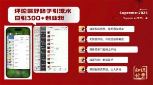 评论区野路子截流创业粉新方法,日被动加300+创业粉,精准引流被动添加…-AI学习资源网