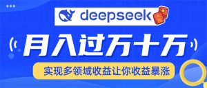 用DeepSeek席卷各大平台,快速上手实现多领域,让你收入猛增-AI学习资源网