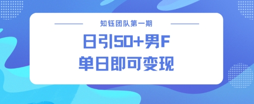 男粉引流新方法不违规，当日即可变现-AI学习资源网