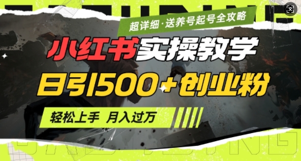 2月小红书最新日引500+创业粉实操教学【超详细】小白轻松上手，月入1W+，附小红书养号起号SOP-AI学习资源网