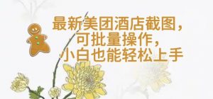 【轻云】最新美团酒店截图,可批量操作,小白也能轻松上手-AI学习资源网