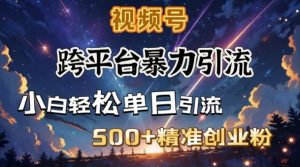 跨平台暴力引流,私域完美闭环,日引500+精准创业粉-AI学习资源网
